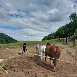 Zo života na farme